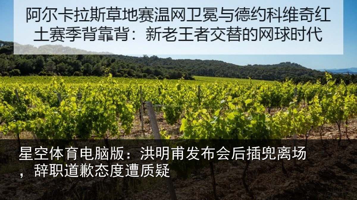星空体育电脑版:洪明甫发布会后插兜离场,辞职道歉态度遭质疑