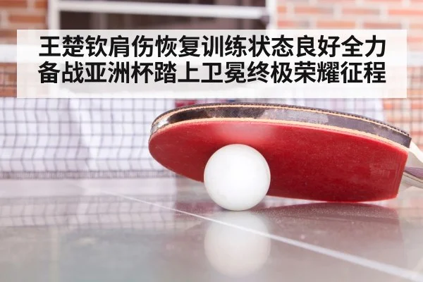 王楚钦肩伤恢复训练状态良好全力备战亚洲杯踏上卫冕终极荣耀征程
