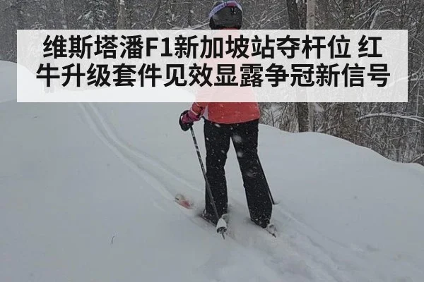 维斯塔潘F1新加坡站夺杆位 红牛升级套件见效显露争冠新信号