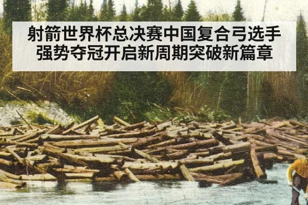 射箭世界杯总决赛中国复合弓选手强势夺冠开启新周期突破新篇章