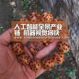 人工智能全景产业链 机器视觉将快速重构_星空竞猜